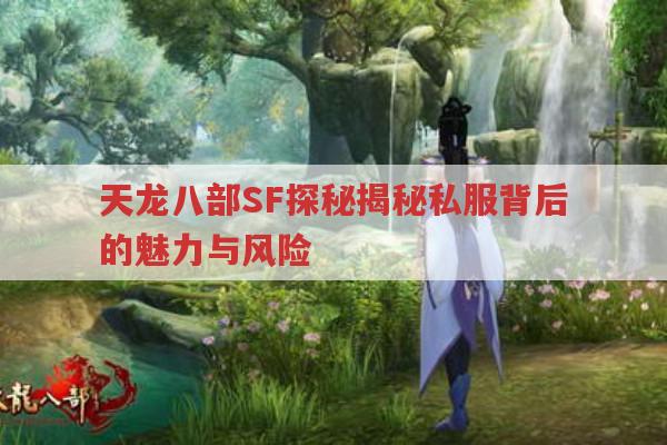 天龙八部SF探秘揭秘私服背后的魅力与风险