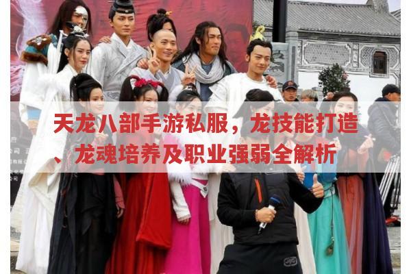 天龙八部手游私服，龙技能打造、龙魂培养及职业强弱全解析