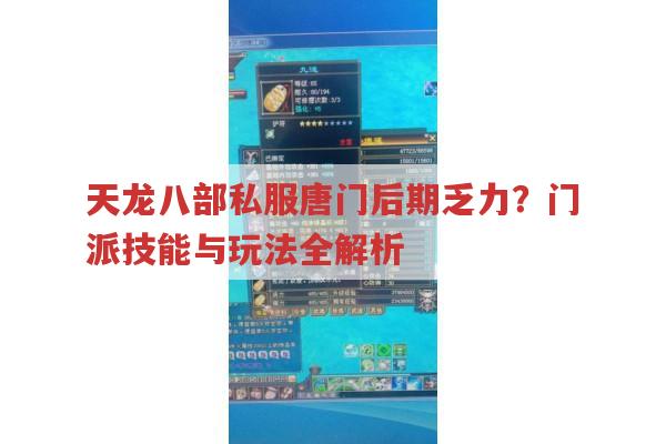 天龙八部私服唐门后期咋样？门派玩法与技能剖析