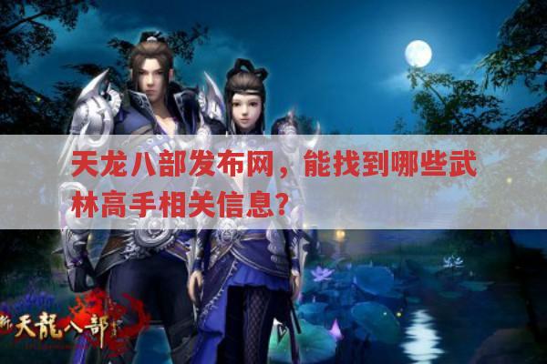 天龙八部私服发布网，里面有哪些武林高手？