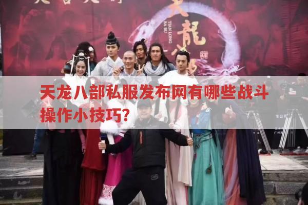 天龙八部私服发布网有哪些战斗操作小窍门？